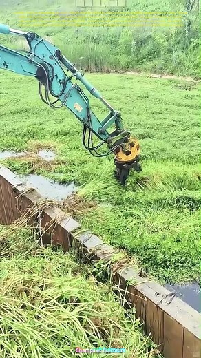 Excavatrice écologique : transformer la végétation aquatique durablement