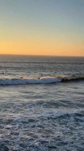 11 reactions |  | Violet Cast | Facebook