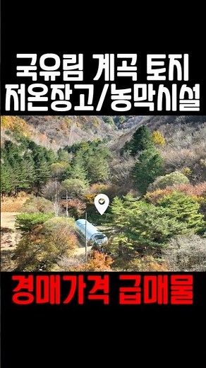 [매물442] 홍천 내면 2201평 조경수 땅! 저온창고·농막 포함 2억4천만원