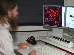 Determination of Plasma Membrane Partitioning for Peripherally-associated Proteins