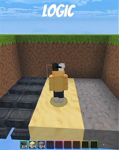 Minecraft Crazy Logic 💀