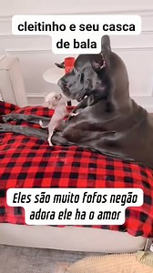 😂🤣 #facebookreels #reelsviral #fypシ #reesl #gatosdivertidos #comediahumor #comedia #facebook #humor #gato | Humor & piada