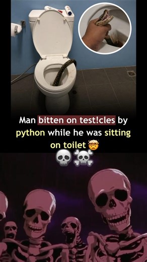 TOILET NIGHTMARE! 🚽🐍 12-Foot Python Attacks Man In The Worst Possible Place #Shorts #Thailand