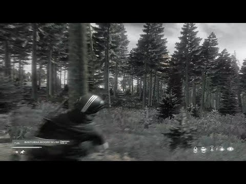 1xhara! #dayz #fragmovie #midnight #highlights #vanilla