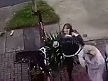 Three women punch a cat and terrorise it with their dog