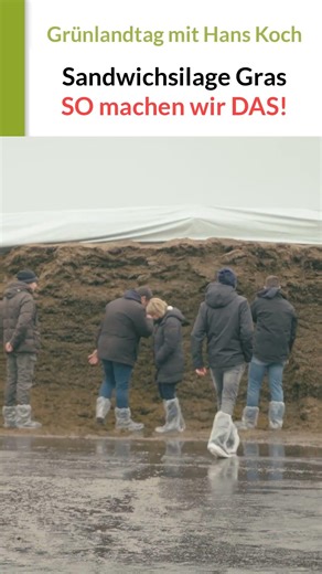 Sandwichsilage: SO kombinieren wir Schnitte in Grasernte | Grünlandtag mit Hans Koch #grassilage