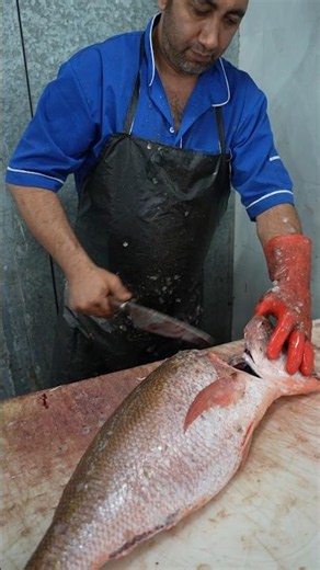 Amazing Fish Market Skills | Fish Filleting Master