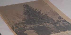 Nonprofit president reflects on the history behind Green Bay's Peace Tree