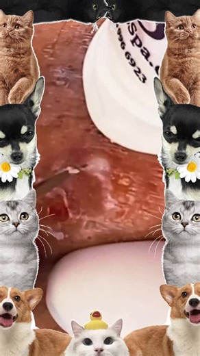 Satisfying Pimple and Cyst Popping ASMR Video