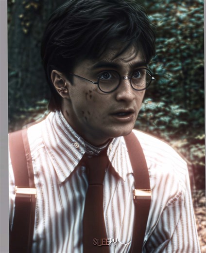 Harry Potter Inspired Song Edit