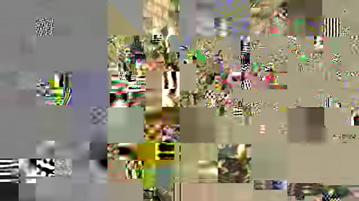 Gene England showed us how he and others used to pick cotton by hand many years ago. | Rural Heritage Magazine