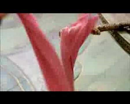 House of Flying Daggers UK Theatrical Trailer