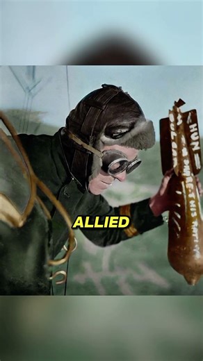 The Wooden Bomb Joke Of World War 2 😂