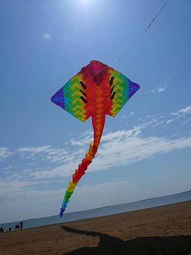 Large Kites - You Mean Big Or Positively Gigantic?