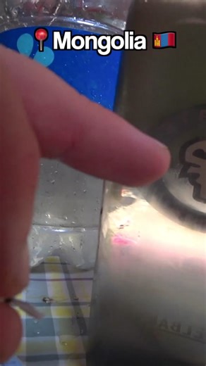 Unique Traits of Mongolians Revealed 😅