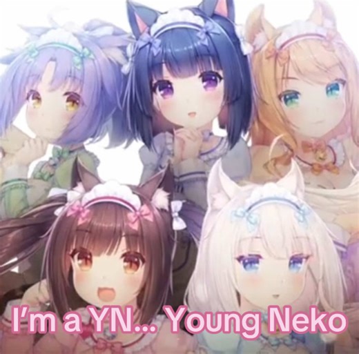 I’m a Young Neko nya (ㆁᴗㆁ✿) . . . #nekopara #cutecore🎀🦴🍮🐾 #nekomimi #catgirl #yn chocola vanilla fraise coconut azuki maple cinnamon Nekopara cute core catgirl edit
