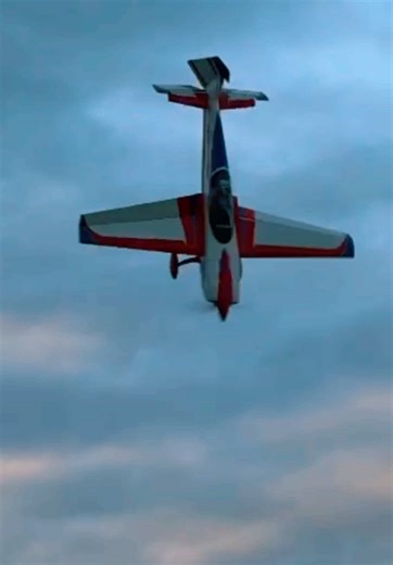 Just flipped a plane 🥱 #plane #aviation #airplane #penflipping #flip #rcforlife #aeropandateam #jetimodel #mksservo #gta5 #rocketleague