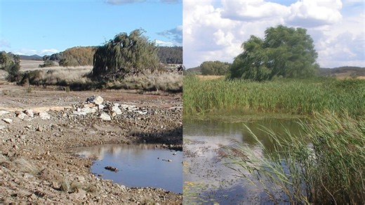 Soaking up Australia's drought