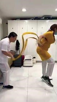 human horse