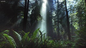 Our world is so beautiful.😍 Original music by Peder B. Helland called "Our Future". If you don't know who I am, let me present myself and this page. Soothing Relaxation is a project I, Peder B. Helland, started with a passion for making relaxing music and sharing it with the world. I work hard to produce the best music I can and I am really grateful for all the support you show me. Make sure to follow my page if you would like to see more content like this in the future. Thanks a lot for watchi