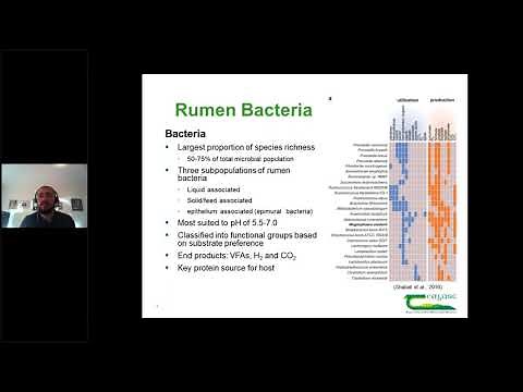 Reducing Methane Emissions from Ruminant Livestock: The Role of the Rumen Microbiome