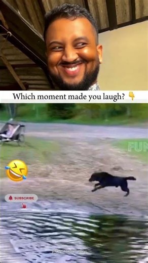 You’ll Laugh Instantly 😂 | Pet Fails Compilation #shorts #petfails