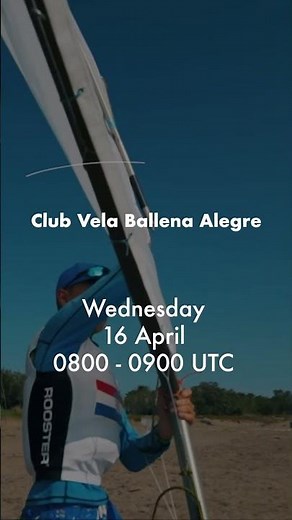 Club Vela Ballena Alegre is setting the standard for ocean protection 🌍