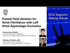Pulsed Field Ablation for Atrial Fibrillation with Left Atrial Appendage Occlusion