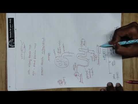 Electrolite panel what is Chloride normal range of chloride
