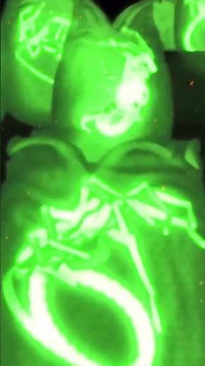 Is a BOMB! Alien vs Predator