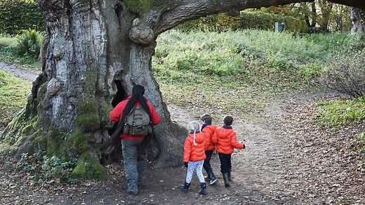 CBeebies - Let's Go for a Walk, Series 2, Witch Hole and Lanterns Walk