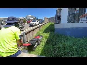 OMG He's using a Battery Push Mower on this OVERGROWN Clean Up!