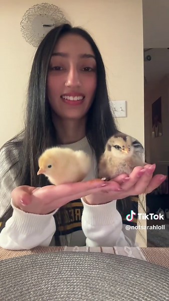 i have an addiction #chicks #tsc