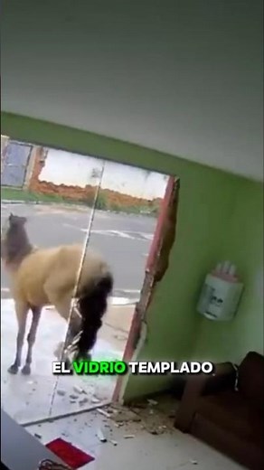 ¿Por qué el Vidrio Templado a Veces se Rompe y Otras No?