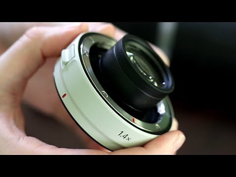 Canon RF 1.4x Extender for More Focal Length
