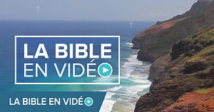 Jour 49 : Jean 18-19 - La Bible en vidéo