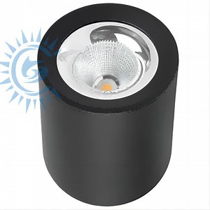 [Hot Item] CE 2.5 Inch 15W Cylinder LED Surface Mounted SMD Down Light
