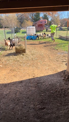 In case anyone needed a laugh today😅 | Destany Frank