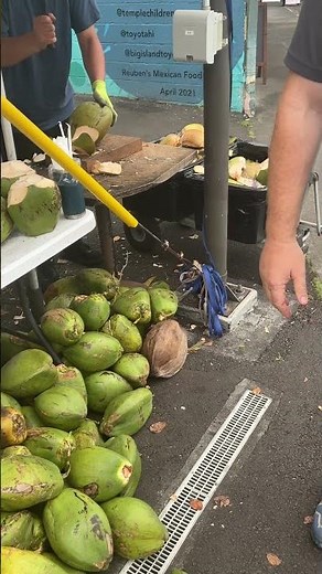 A lovely bunch of Coconuts.....