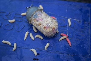 15K views · 245 reactions | Our NEW Clik Cap Feeders are OUT NOW! Have you tried them yet??? | Preston Innovations | Facebook