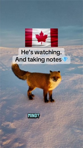 🇨🇦💎In the Canadian Arctic, Diamond mining comes with a promise: Restore the Land. #madeincanada #proudlycanadian #onlynaturaldiamonds @Only Natural Diamonds