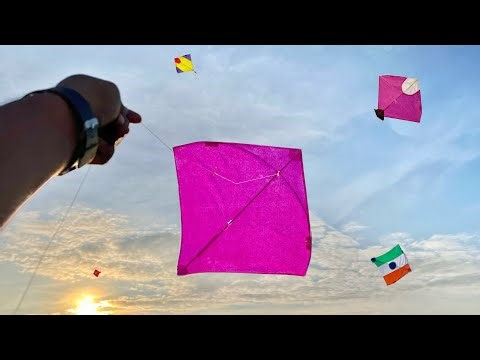 Kite Looting | Kite Looting On Roof | Kite Catching | Kite