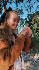 134K views · 4.9K reactions | Attempting to make eucalyptus essential...