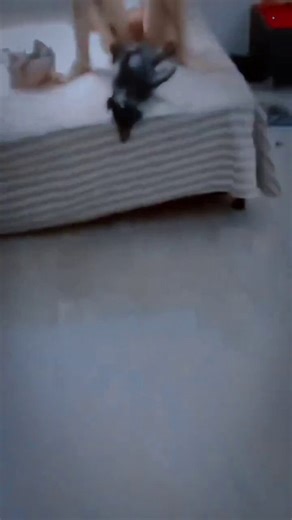 Jerry Howard (@JerryHowar74204) on X