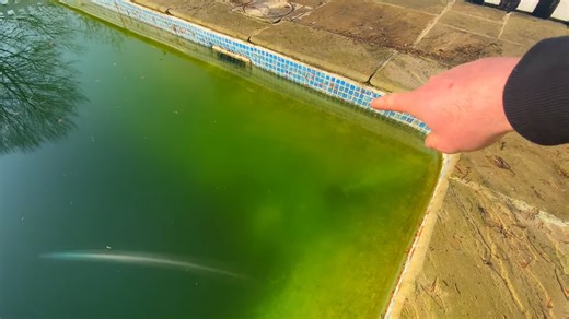 This pool looked fine until water started pouring out the side