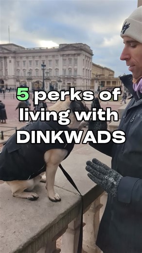 my ancestors would be proud #dinkwad #dinkwadlife #mrchunkythepug