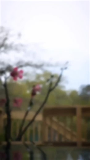 GET GLASS DISTRIBUTION on Instagram: "🚨 RESTOCK ALERT! Not your average nectar collector — this one does both. 💨🧠 @‌getglassdistribution x @‌geticglass The IC 2-in-1 Setup Includes: 🔹 A towering 12” nectar collector with 4 honeycomb percs — for ultra-smooth hits 🔹 A universal converter base that turns it into a full waterpipe rig in seconds 👇 This setup isn’t just smart — it’s a showcase centerpiece that makes your shop stand out from the crowd. 📍 Available now at GetGlass.us￼ 🎯 Be the s