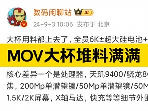 各家大杯用料都上去了，全员6K±超大硅电池+单点超声波+IP68/69防尘防水+超窄等深四曲屏……核心差异是处理器、长焦、屏幕，X轴马达、快充等等细节外围。_哔哩哔哩_bilibili