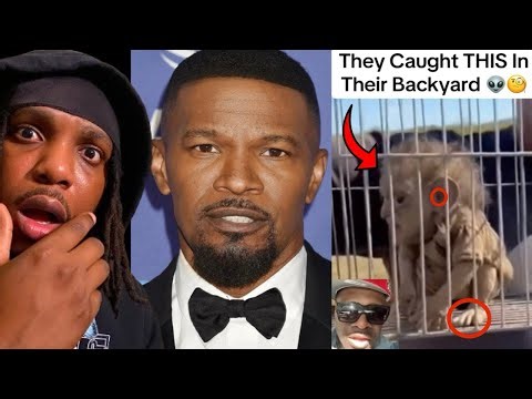 I Wasn’t Ready for These Videos