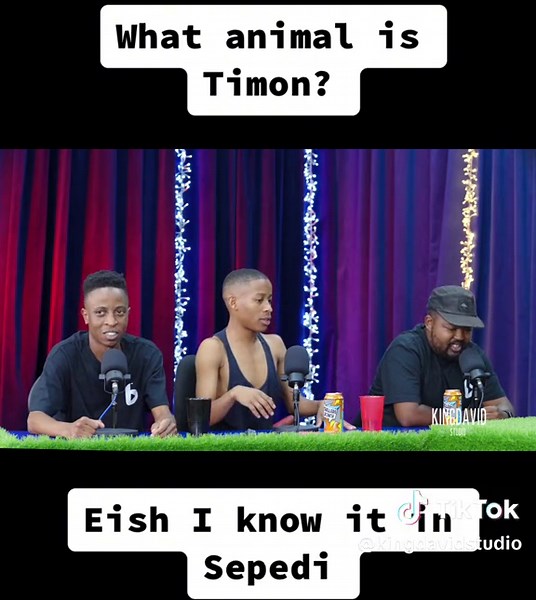 Unraveling the Mystery: What Animal is Timon? | Podcast and Gameshow